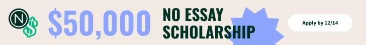 essay scholarships for nursing Niche College Scholarship