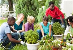 What is 4-H? 
Reaching over 6 million children and teens nationwide, 4-H is America’s largest youth development organization. Founded over 100 years ago, 4-H offers a wide variety of programs for young people in the areas of science, agriculture, health and civic engagement. Currently, there is at least one type of 4-H program available in every county and parish across the U.S. 