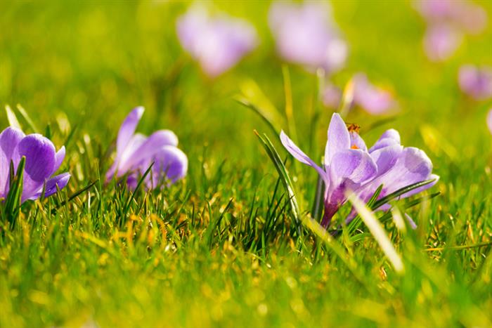 Spring has officially begun! Days are getting longer and the weather is getting warmer. Spring means flowers and rainstorms. It’s also the time that brings college acceptances and decisions! That’s why spring is a great time to apply for scholarships. These April scholarship opportunities will springboard you to college savings! Check out the following scholarships, and be sure to try a free scholarship search today to discover customized scholarship results that can help you pay for college. 