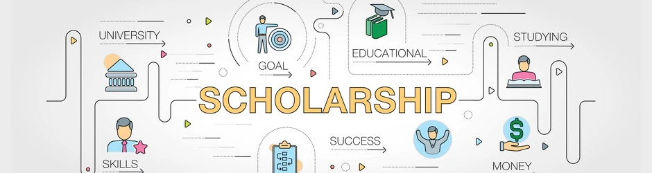 Scholarship diagram with skills, funds, more