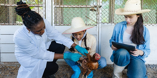 Veterinary Medicine