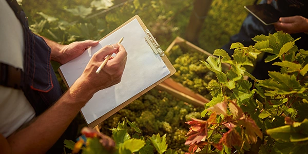 Viticulture & Enology