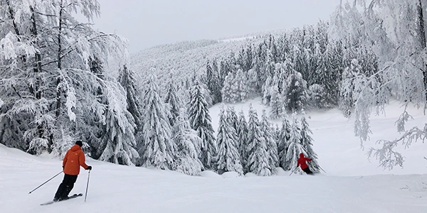 Skiing