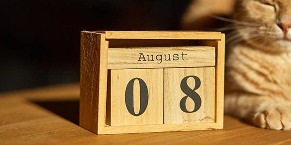 Deadline In August 2026