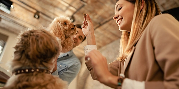 Pet Care Experience