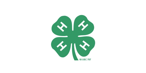 4 H
